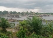 Daftar Nama Penampung Hingga Pemilik Puluhan Ponton Tambang Ilegal Gasak Eks Kobatin. Hukum Mati Mesin