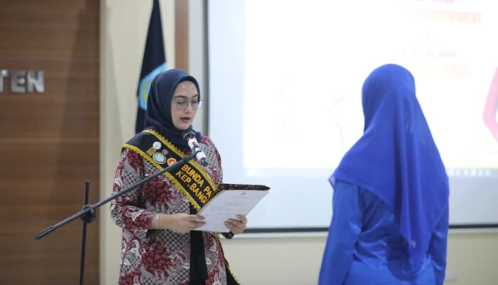 Dalam Pelantikan Ketua Dekranasda Bangka Tengah, Noni Hidayat Tekankan Kolaborasi