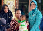 Ketua TP PKK Noni Hidayat Serahkan Bantuan Beras ke Warga Tanjung Gunung dan Kelurahan Sinar Bulan