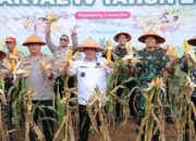 Dukung Swasembada Pangan : Gubernur Hidayat Arsani Hadiri Panen Raya Jagung Serentak