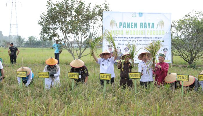 Hadiri Panen Raya Jaksa Mandiri Pangan, Gubernur Hidayat Arsani: Babel Menuju Kedaulatan Pangan Berkelanjutan