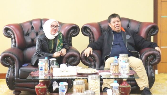 Gubernur Babel Hidayat Arsani sambut kedatangan Wamen Koperasi Farida