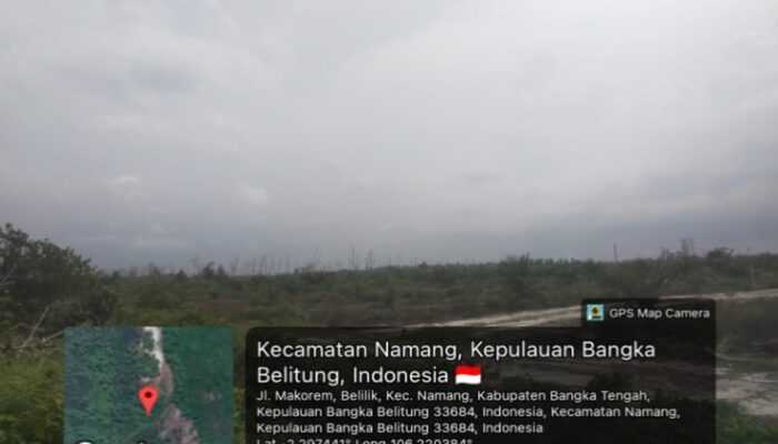 Diduga BN Bos Roti Kuasai Ratusan Hektare Kawasan Hutan, Modus Kelompok Tani Fiktif Disorot