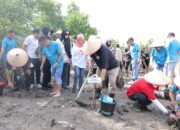 Gubernur Hidayat Arsani Pimpin Aksi Sosial dan Penanaman Mangrove di Pesisir Pantai Ketapang