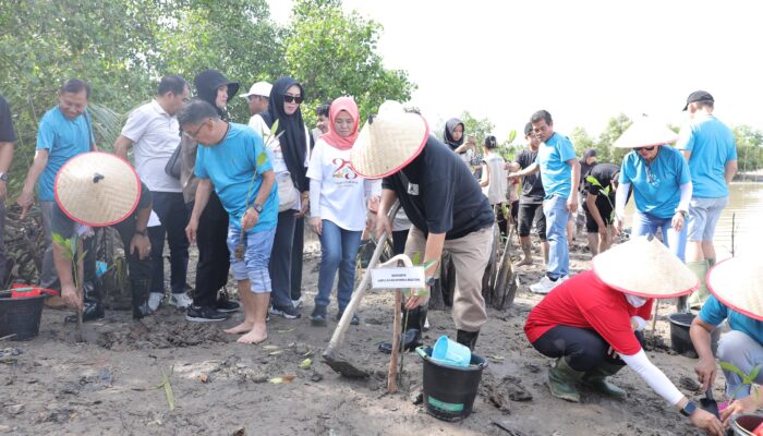 Gubernur Hidayat Arsani Pimpin Aksi Sosial dan Penanaman Mangrove di Pesisir Pantai Ketapang