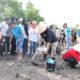 Gubernur Hidayat Arsani Pimpin Aksi Sosial dan Penanaman Mangrove di Pesisir Pantai Ketapang