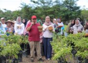 GENCAR Membuahkan Hasil, Bukti Komitmen Gubernur Hidayat Arsani Sukseskan Program Ketahanan Pangan