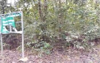 Skandal Lahan Terkuak, HGU 199,8 HA  PT Aroma Envisari  Diduga Serobot IUP PT TIMAH  Tbk 