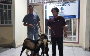 Bukan Cuma Bangun Hotel, The Serai Tanjung Binga Juga Berbagi Kurban untuk Warga dan Pers