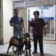 Bukan Cuma Bangun Hotel, The Serai Tanjung Binga Juga Berbagi Kurban untuk Warga dan Pers