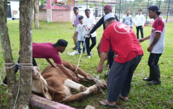 Tak Sekadar Silaturahmi, Moment Iduladha Gubernur Hidayat Arsani Berbagi Hewan Kurban ke Panti Asuhan