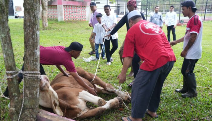 Tak Sekadar Silaturahmi, Moment Iduladha Gubernur Hidayat Arsani Berbagi Hewan Kurban ke Panti Asuhan