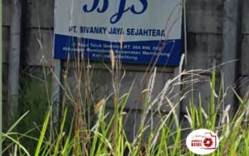 Satgas PKH dan Gakkum Diuji di Belitung: Data Berbeda, Status Lahan PT BJS Jadi Sorotan 