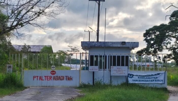 Puluhan SKT Tahun  1994 WIUP PT Alter Abadi Diduga Fiktif, Warga Akan Bawa ke Gubernur dan Kejati Babel.