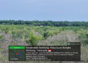 Puluhan Hektare WIUP PT Garuda Panca Artha Alih Fungsi Jadi Kebun Sawit, Bos Adi Sebut Milik Amzani