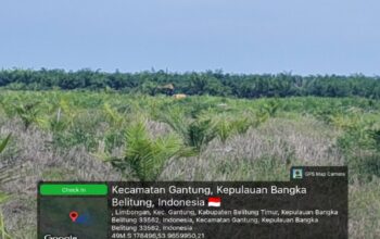 Puluhan Hektare WIUP PT Garuda Panca Artha Alih Fungsi Jadi Kebun Sawit, Bos Adi Sebut Milik Amzani