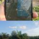 Aset PT Timah di Belitung Kembali Menyusut, Lahan Konsesi 309 Hektar di Sijuk Disulap Jadi Kebun Sawit