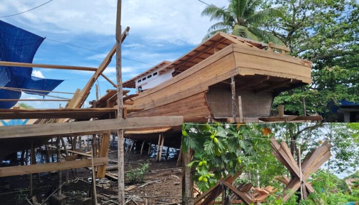Jejak Kayu Kapal Raksasa Diburu KPHL, Kapal Berpotensi Disita Jika Terbukti Ilegal