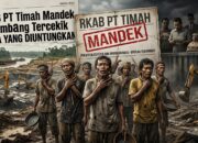 RKAB PT Timah Tbk Mandek, Siapa Yang Diuntungkan