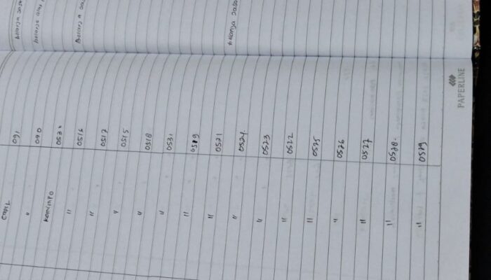 Anggaran Kerja Sama Media Online Diskominfo Kota Pangkalpinang Bervariasi Rp1 Juta-Rp5 Juta, Dinilai Tidak Berimbang