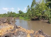 Polemik Sungai Butun Keruh, Orang Kepercayaan Ahon Bakit Bungkam Soal AMDAL dan Perizinan Perkebunan