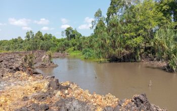 Polemik Sungai Butun Keruh, Orang Kepercayaan Ahon Bakit Bungkam Soal AMDAL dan Perizinan Perkebunan