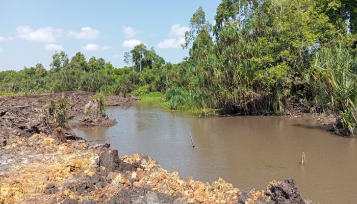 Polemik Sungai Butun Keruh, Orang Kepercayaan Ahon Bakit Bungkam Soal AMDAL dan Perizinan Perkebunan