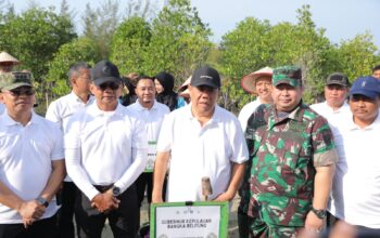 Peringati Hari Mangrove Sedunia 2026, Gubernur Hidayat Arsani Pimpin Penanaman 3.300 Bibit
