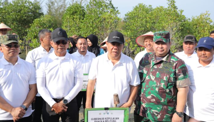 Peringati Hari Mangrove Sedunia 2026, Gubernur Hidayat Arsani Pimpin Penanaman 3.300 Bibit