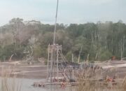 Tambang Ilegal Masuk Hutan Mangrove Desa Rambat