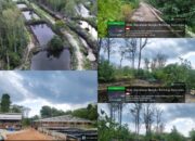 Babat Hutan Mangrove Jadi Tambak Kepiting, Aktivitas PT SHA di Belitung Disorot
