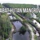 Jawaban Kadishut Soal Tambak PT SHA di Belitung Tuai Pertanyaan: Benarkah Silvofishery Boleh Babat Mangrove
