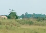 Diduga Ada Campur Tangan Oknum, Tambang Timah Ilegal di Kawasan Hutan Lindung Toboali Beroperasi Bebas