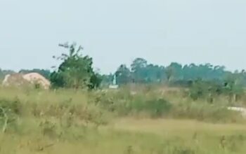 Diduga Ada Campur Tangan Oknum, Tambang Timah Ilegal di Kawasan Hutan Lindung Toboali Beroperasi Bebas