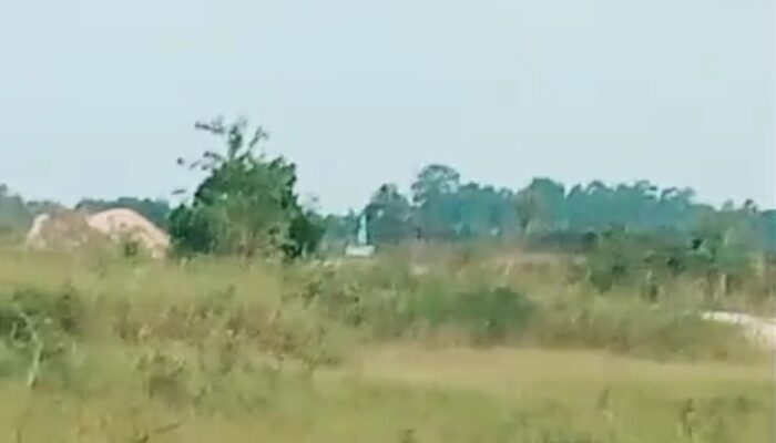 Diduga Ada Campur Tangan Oknum, Tambang Timah Ilegal di Kawasan Hutan Lindung Toboali Beroperasi Bebas