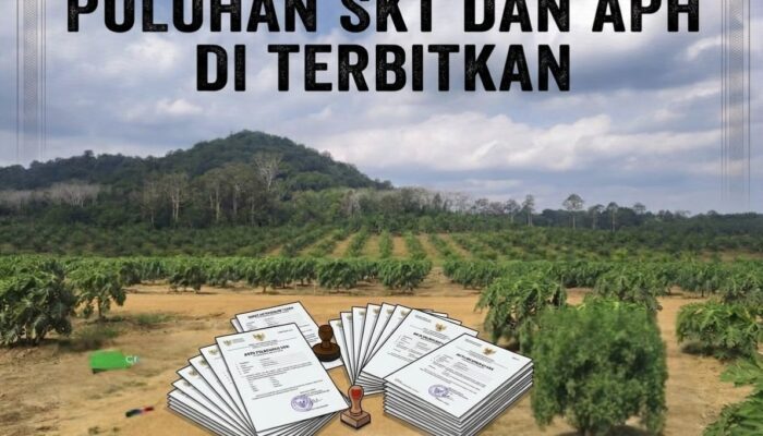 Puluhan SKT Dan APH Terbit Di Atas IUP PT Timah Tbk, Pengurusan Disebut Lewat Sobri