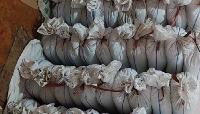 Usai 50 Ton Bijih Timah Diamankan, Nama Apin Sijuk Mencuat dalam Dugaan Rantai Pasok