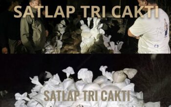 175 Karung Timah Diamankan, Satlap Tri Cakti Kembali Tunjukkan Dampak Nyata Di Lapangan