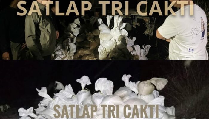 175 Karung Timah Diamankan, Satlap Tri Cakti Kembali Tunjukkan Dampak Nyata Di Lapangan