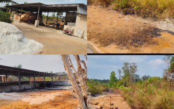 Warga Resah Bau Limbah, DLH Diminta Periksa Pabrik Sagu Di Air Seru