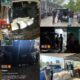 Belum Sempat Dikirim Keluar Belitung, Puluhan Karung Pasir Timah Disergap Satlap Tri Cakti