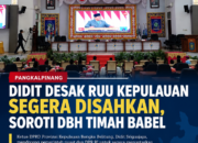 Didit Desak RUU Kepulauan Segera Disahkan, Soroti DBH Timah Babel