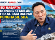 Edi Nasapta Dorong Keadilan Fiskal bagi Daerah Penghasil SDA