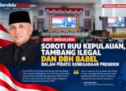 Didit Soroti RUU Kepulauan, Tambang Ilegal dan DBH Babel dalam Pidato Presiden