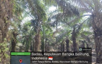 40 Hektare Sawit PT PUS Diduga Masuk Kawasan Industri SUGE, Legalitas Dan Pengawasan Dipertanyakan