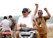 Dorong Ekonomi Lokal, Gubernur Babel Tinjau Potensi Pabrik dan Dermaga di Selat Nasik
